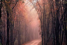 战巴萨！奥萨苏纳主帅：如果可能会选其他日期踢.