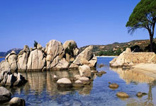 网球冠军谈赢球：因为跟梅西握手后不洗手！.